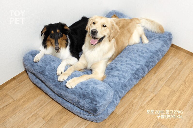대형견 침대 로 딱좋은 강아지침대 6가지