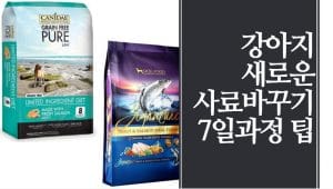 강아지 사료 바꾸기