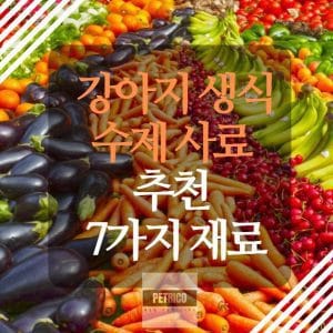 강아지 생식