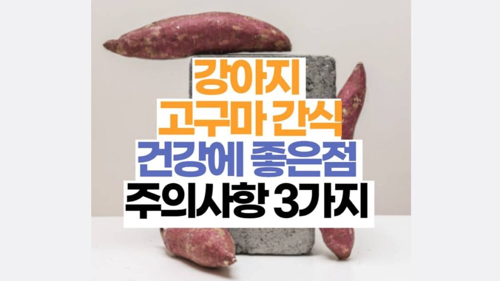 강아지 고구마 간식 좋은점 주의사항