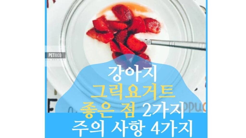 강아지 그릭요거트