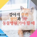 강아지 변비