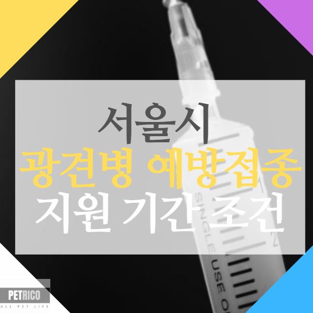 서울 광견병 무료접종