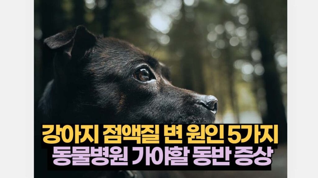 강아지 점액질 변 원인 5가지  동물병원 가야할 동반 증상