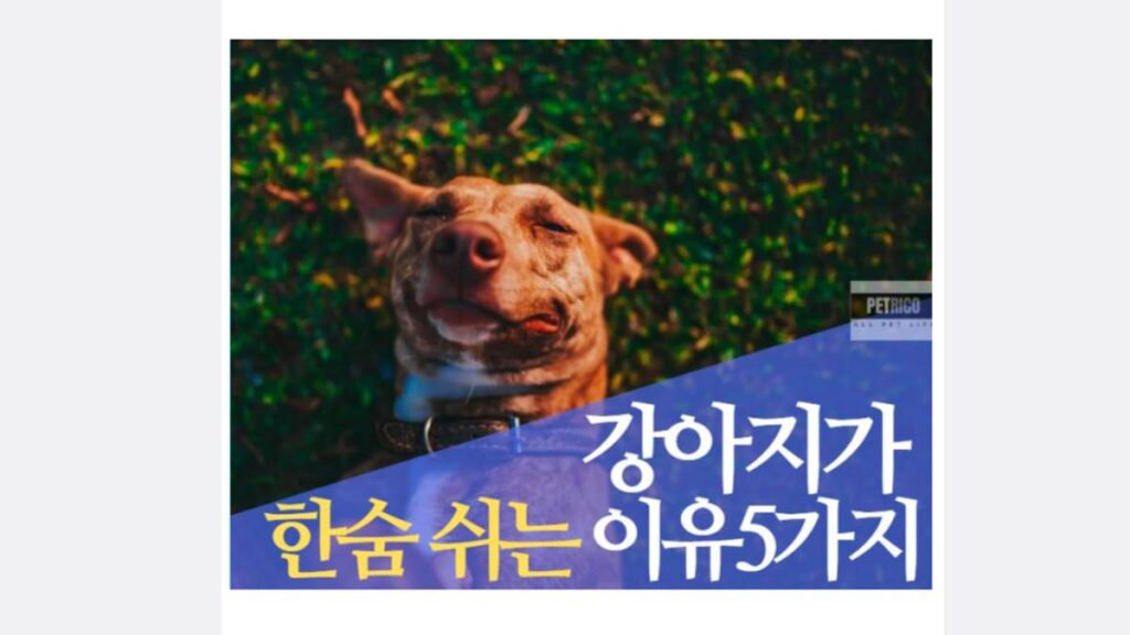 강아지 한숨