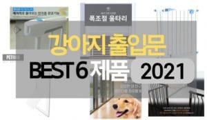 강아지 출입문 추천제품