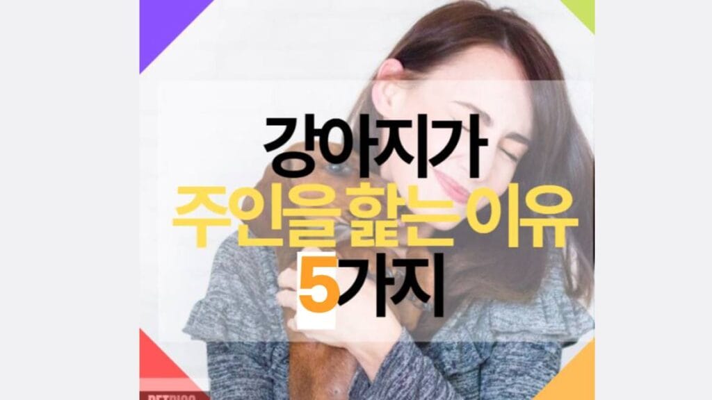 강아지가 주인을 핥는 이유