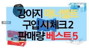 강아지 매너벨트