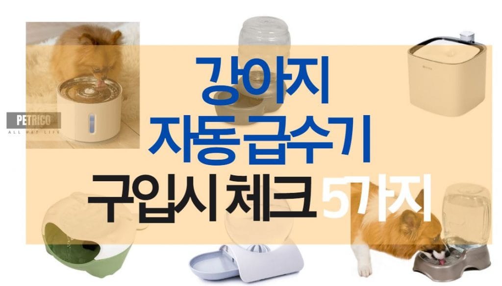 강아지 자동 급수기