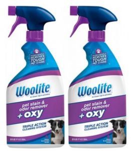 Woolite Pet Stain and Odor Remover Plus Oxy 22oz
