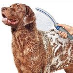 Waterpik PPR-252 Pet Wand Pro Dog Shower Attachment 13” Blue/Grey System for Fast and Easy Bathing