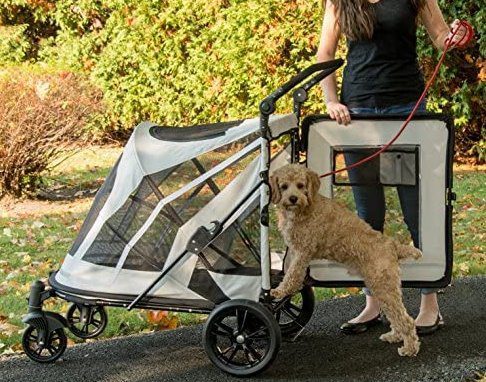 Pet Gear NO-Zip Stroller Push Button Zipperless Dual Entry for Single or Multiple Dogs/Cats Pet C