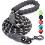 Black BAAPET 5 FT Strong Dog Leash with Comfortable Padded Handle and Highly Reflective Threads Dog