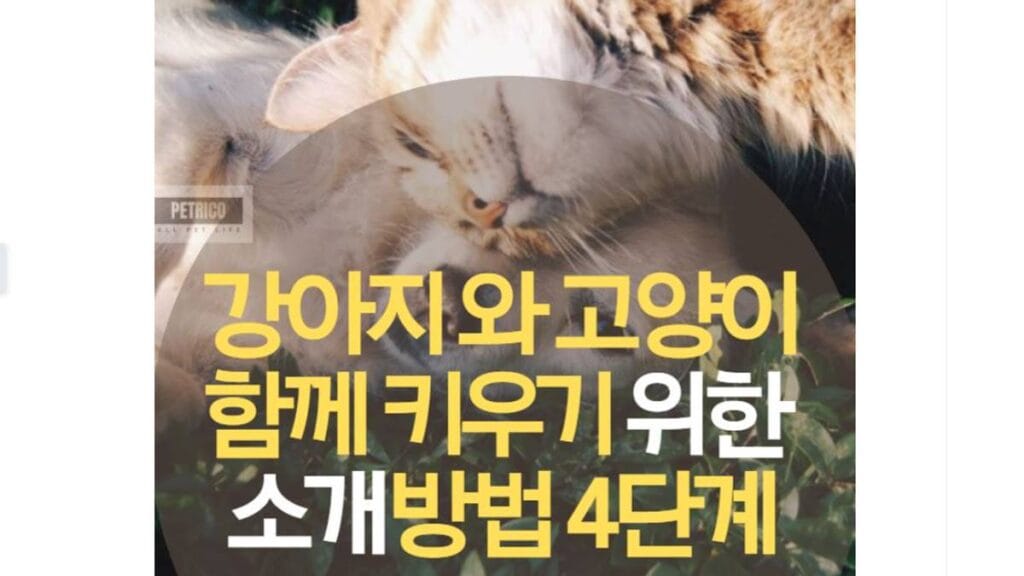 강아지 고양이 합사