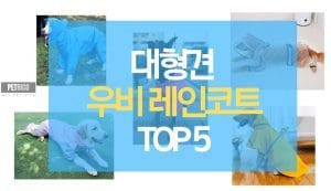 대형견 우비 레인코트 TOP 5