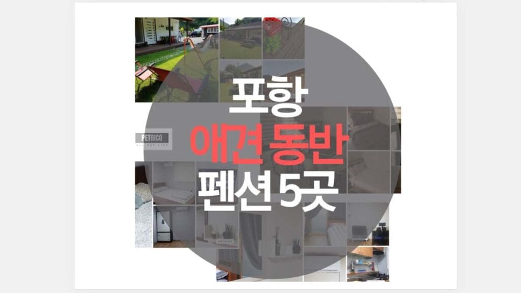 포항 애견 동반 펜션 5곳