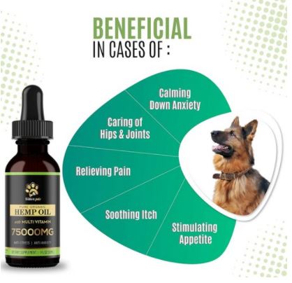 빌리언펫츠 헴프오일 30ml for Dogs 강아지 영양제