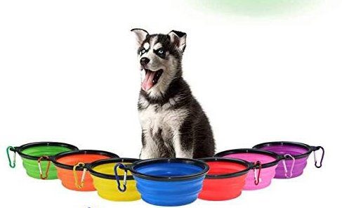 [Collapsible Bowl] 강아지 휴대용 실리콘 물통 밥통 그릇