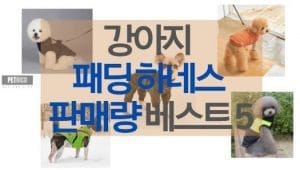 강아지 패딩 하네스 판매량 베스트 5