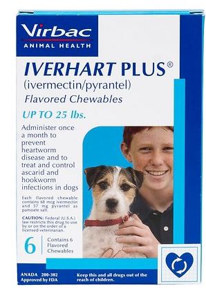 Iverhart Plus 강아지 심장사상충 약