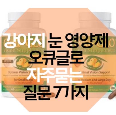 강아지 눈 영양제 오큐글로 자주묻는 질문 7가지