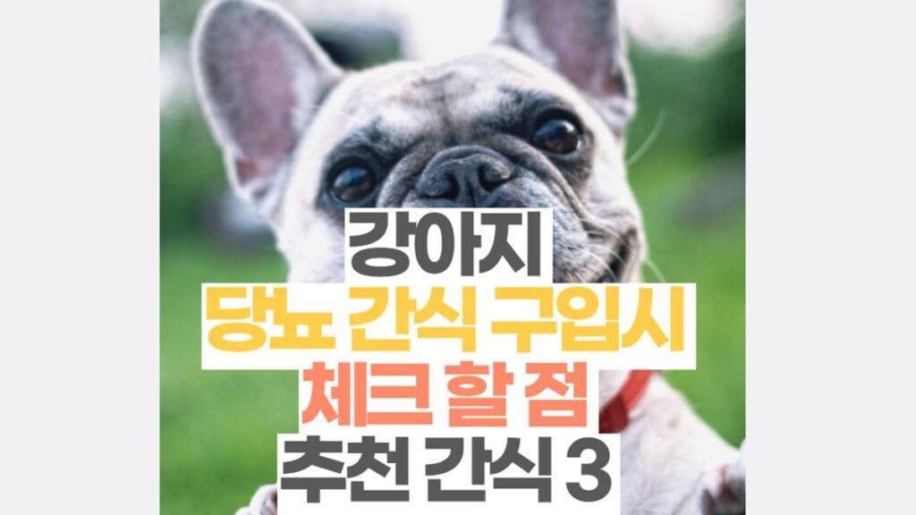 강아지 당뇨 간식