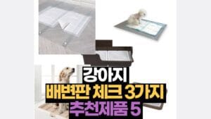 강아지  배변판 체크 3가지  추천제품 5