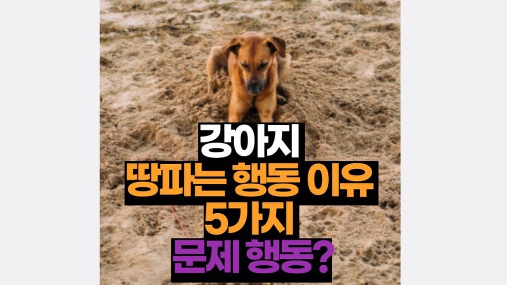 강아지 땅파는 행동 하는 이유 5가지 문제 행동?