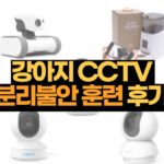 강아지 CCTV 분리불안 훈련