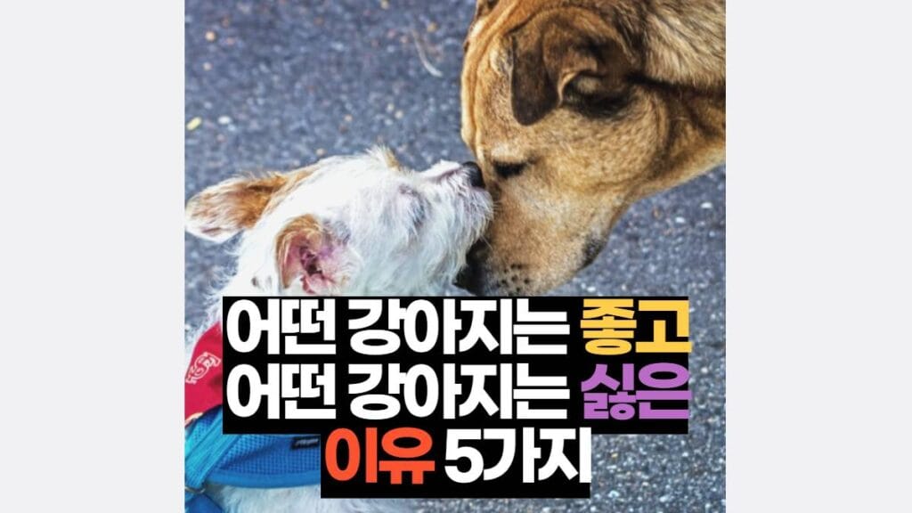 어떤 강아지는 좋고 어떤 강아지는 싫은이유 5가지