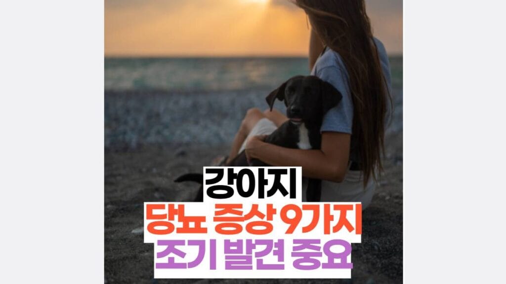 강아지  당뇨 증상 9가지 조기 발견 중요