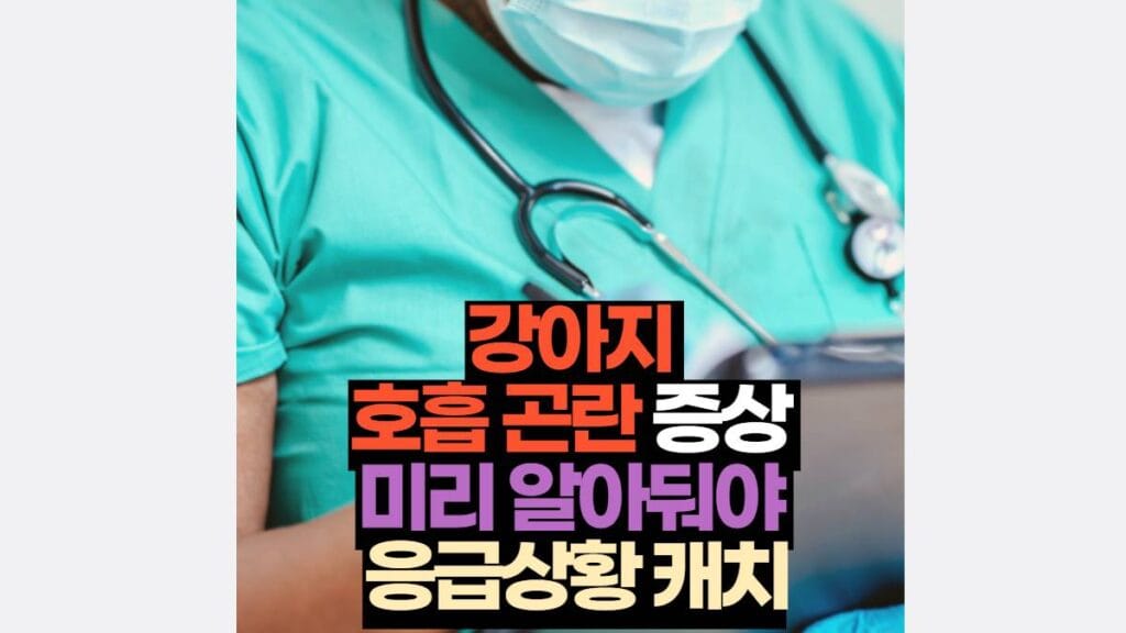 강아지  호흡 곤란 증상  미리 알아둬야  응급상황 캐치