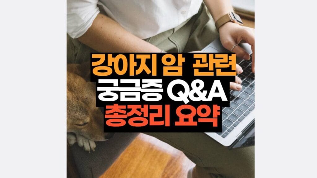 강아지 암  관련 궁금증 Q&A  총정리 요약 