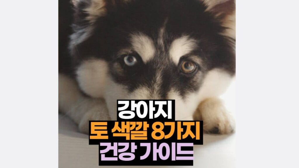 강아지  토 색깔 8가지  건강 가이드