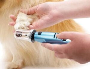Oster Gentle Paw