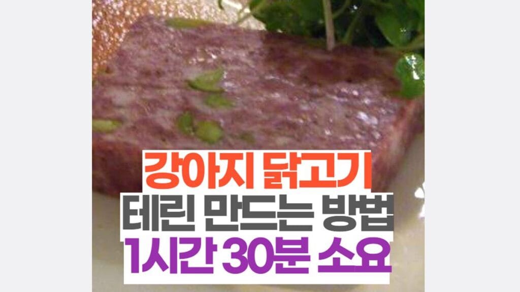 강아지 테린 만들기 방법