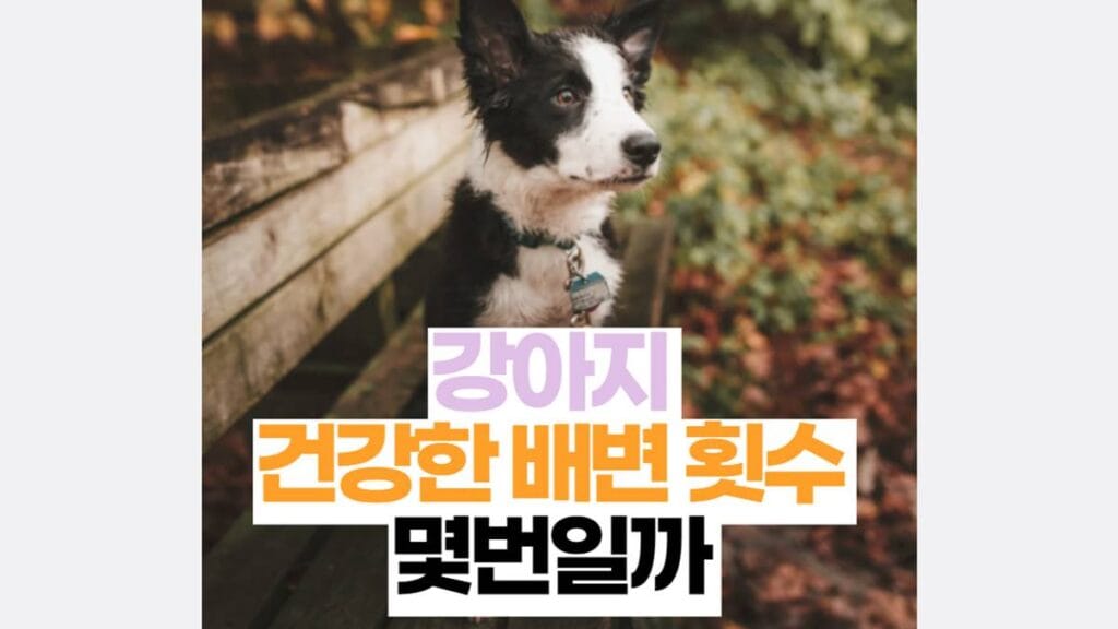 강아지 대변 횟수 몇번일까