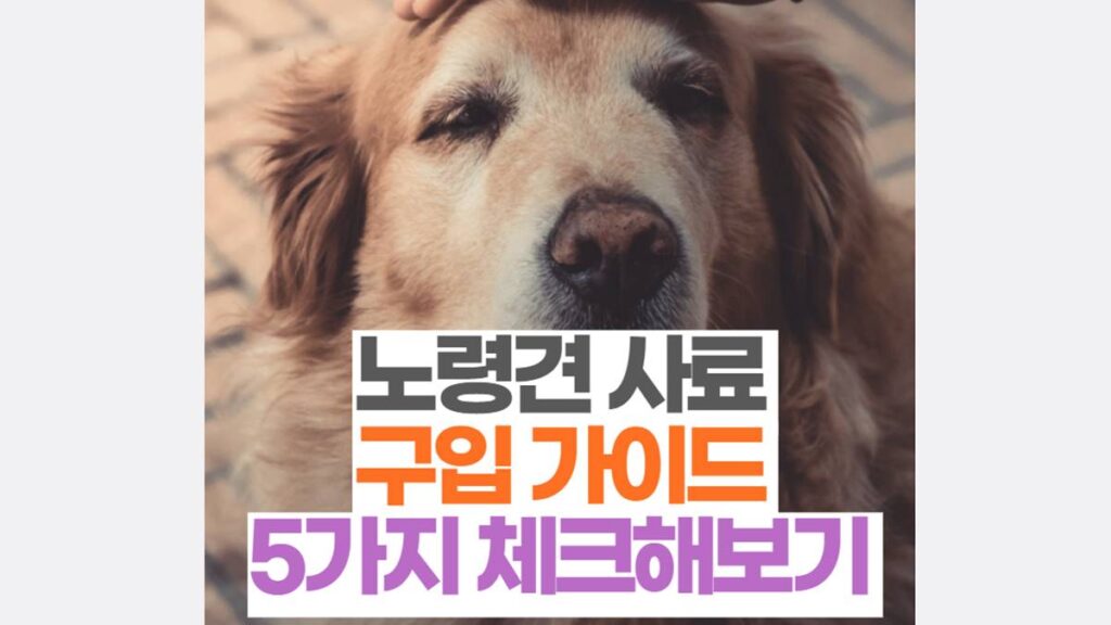 노령견 사료 구입 가이드 체크할 5가지 리스트