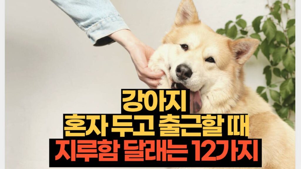 강아지 집에 혼자 둘 때 12가지 지루함 줄이는 방법