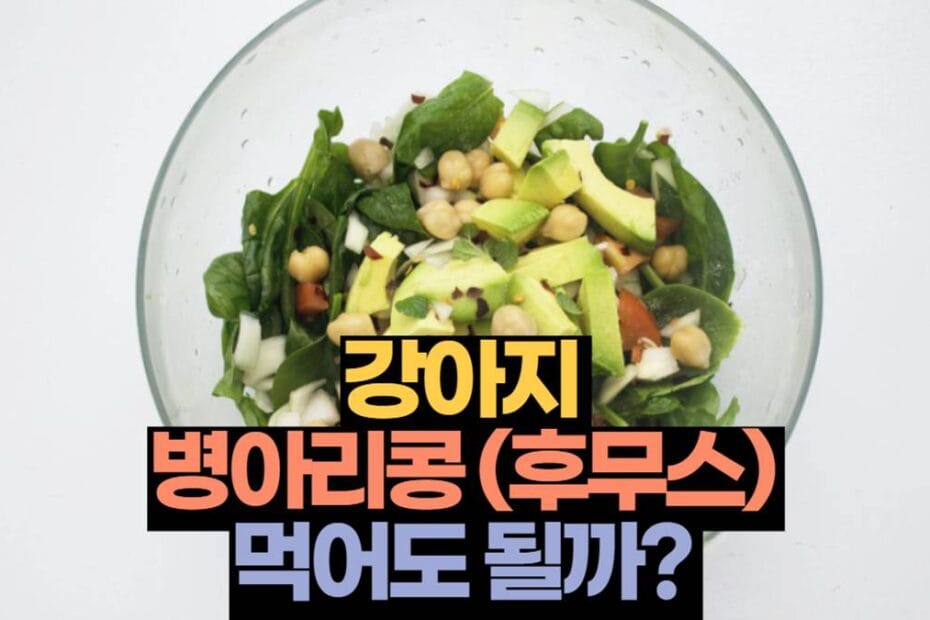 강아지 병아리 콩 섭취 주의사항 과 좋은점