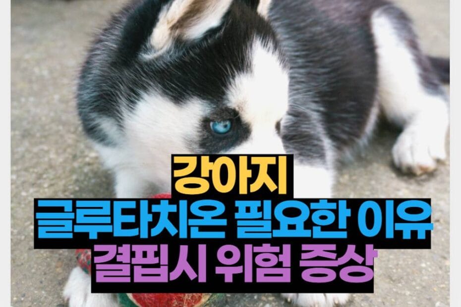 강아지 글루타치온 좋은점 5가지