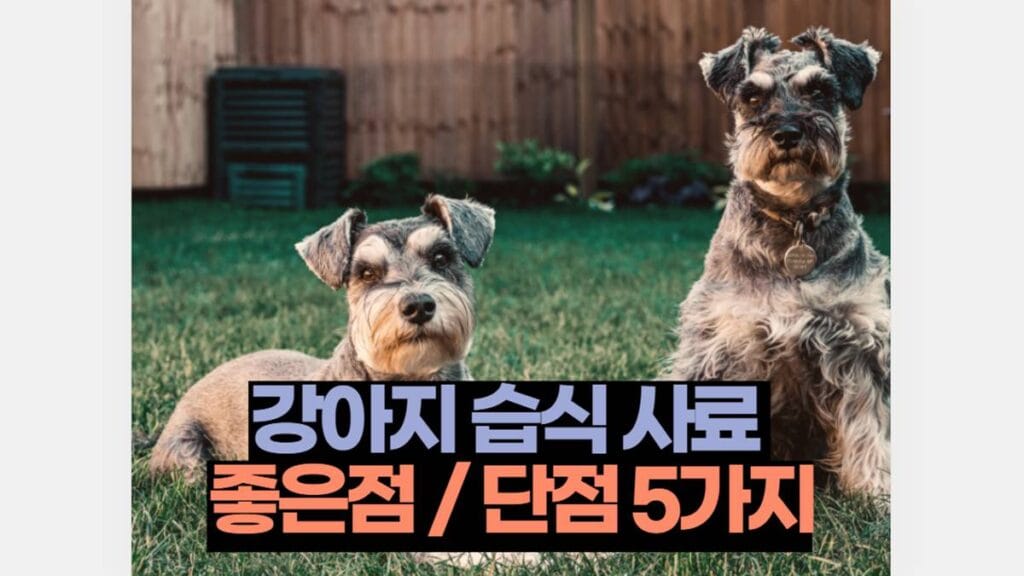 강아지 습식사료 좋은점 / 단점 5가지