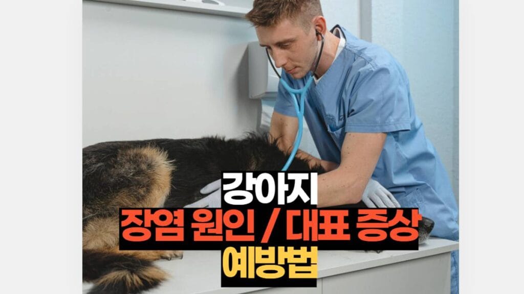 강아지 장염 증상 원인