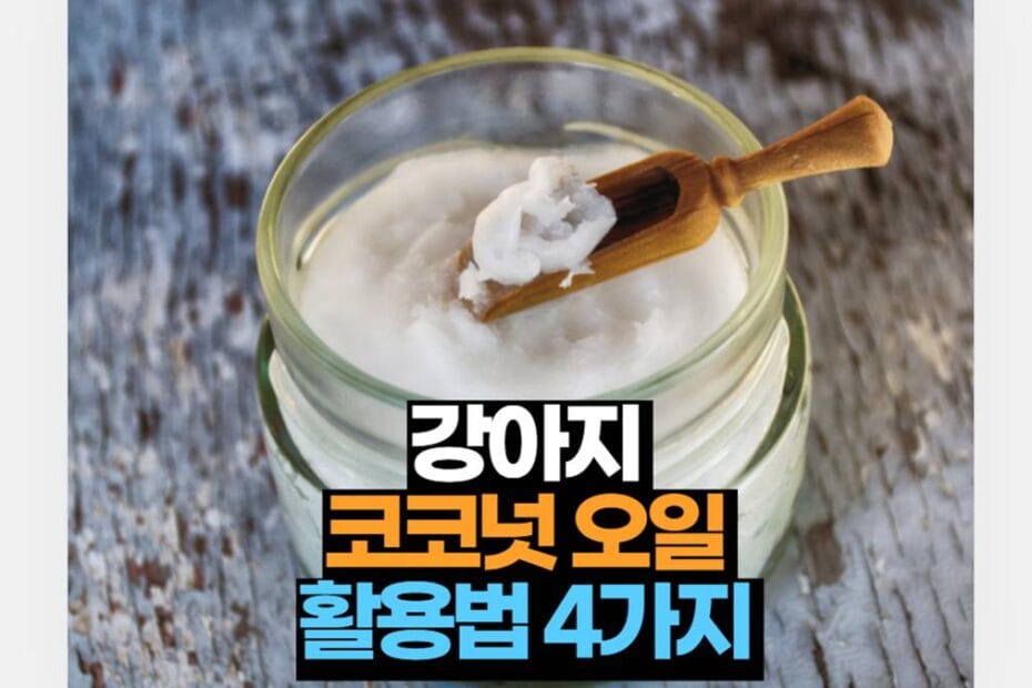 강아지 코코넛 오일 활용법