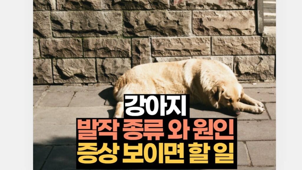 강아지 발작 종류 와 원인 증상 보이면 할 일 