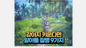 강아지 키울 때 알아둘 질병