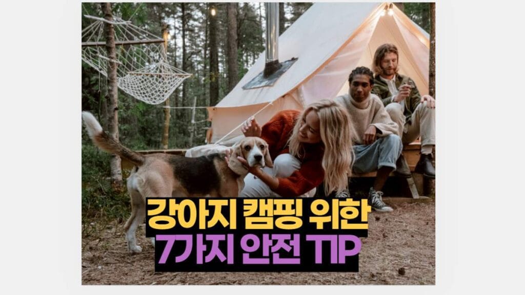 강아지 캠핑 7가지 안전 TIP