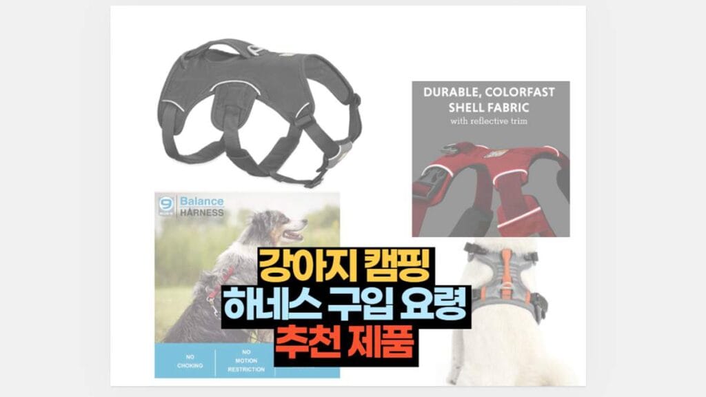 강아지 캠핑 하네스 구입 요령 추천 제품 