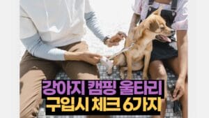 강아지 캠핑 울타리 구입시 체크 6가지