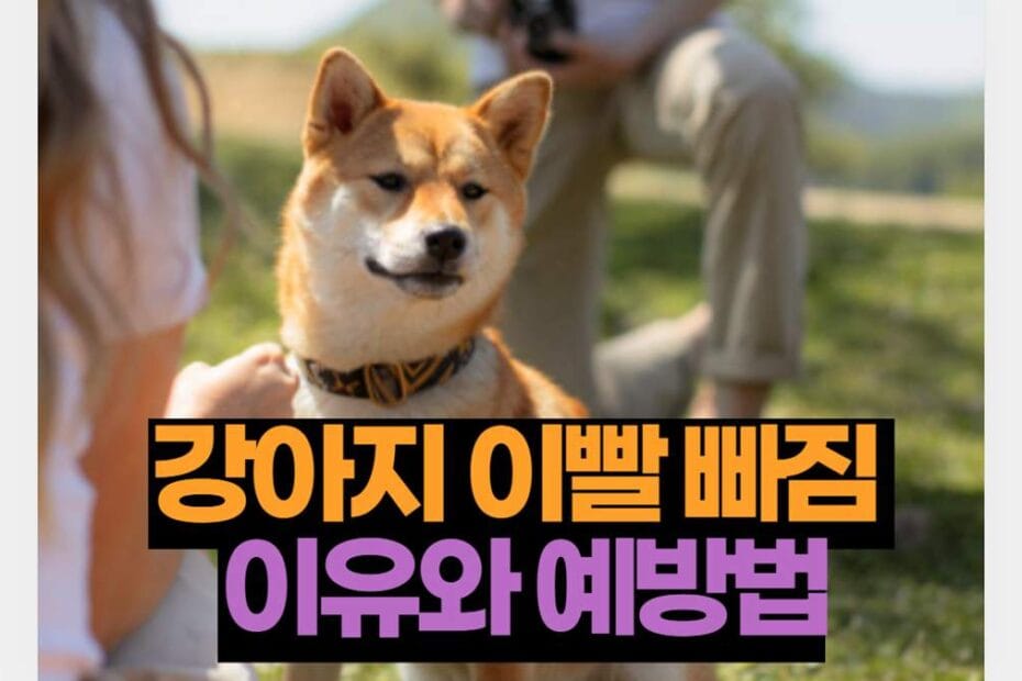 강아지 이빨 빠짐 이유